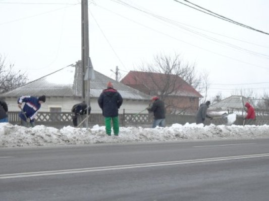 Colectivul Penitenciarului Spital Poarta Albă, solidar cu sinistraţii